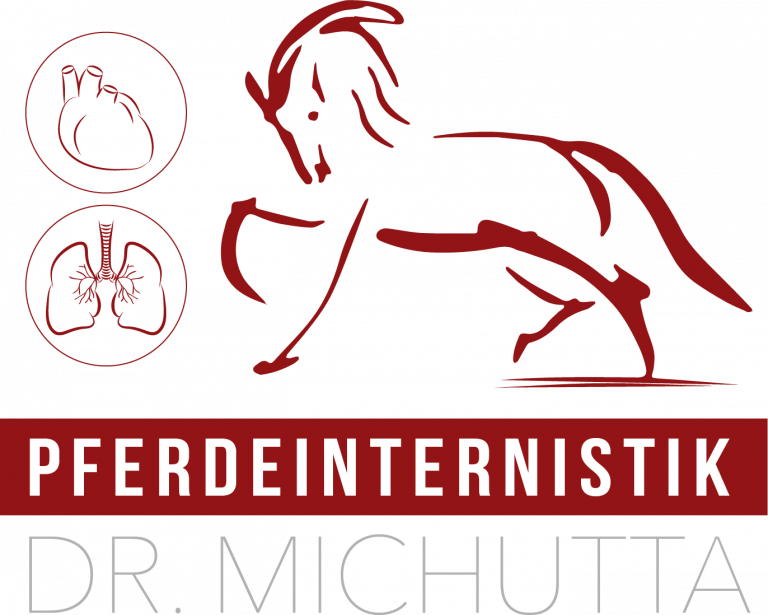 Pferdeinternistik Dr. Michutta