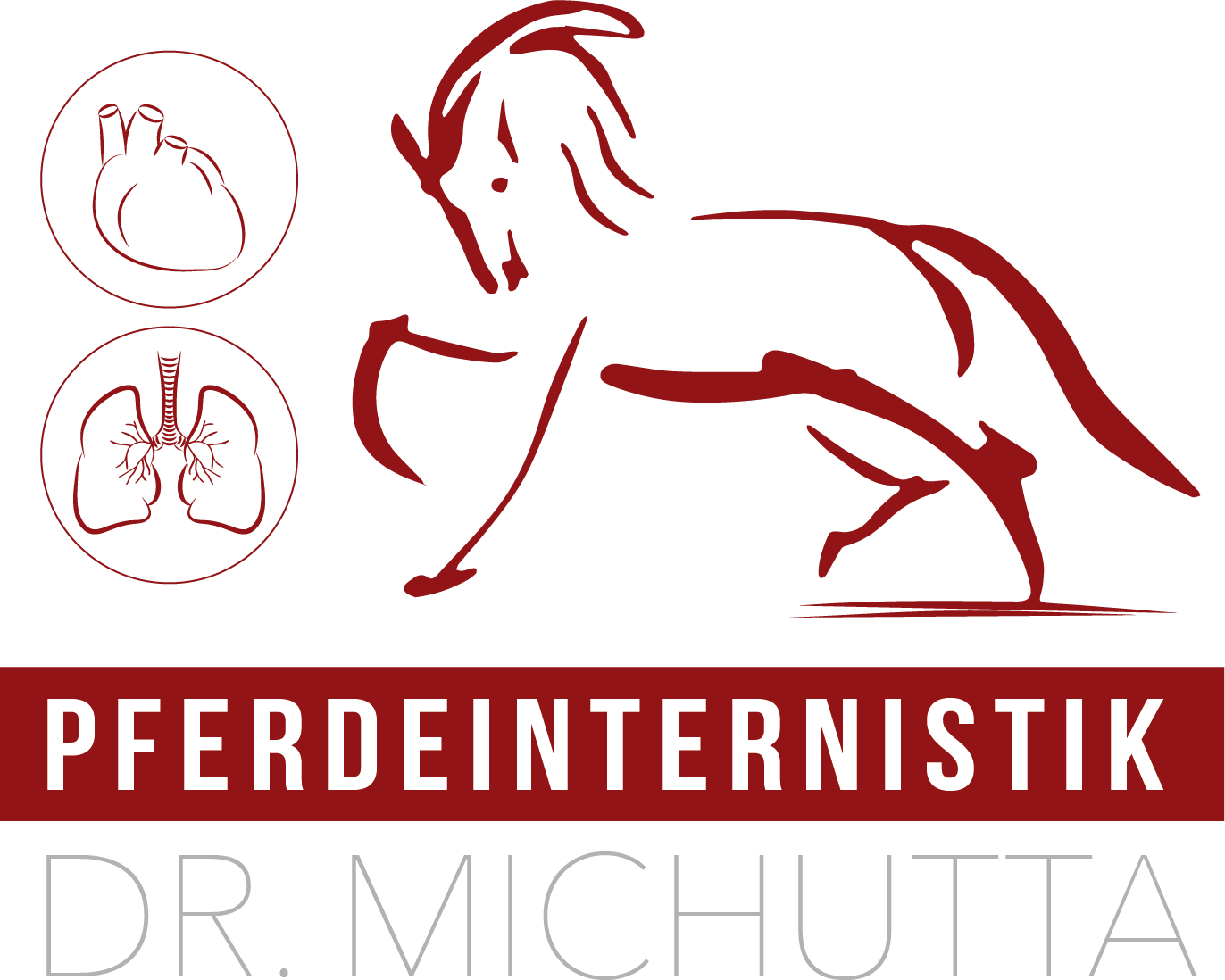 Pferdeinternistik Dr. Michutta