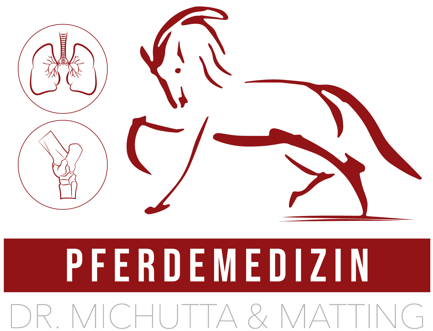 Pferdemedizin Dr. Michutta & Matting