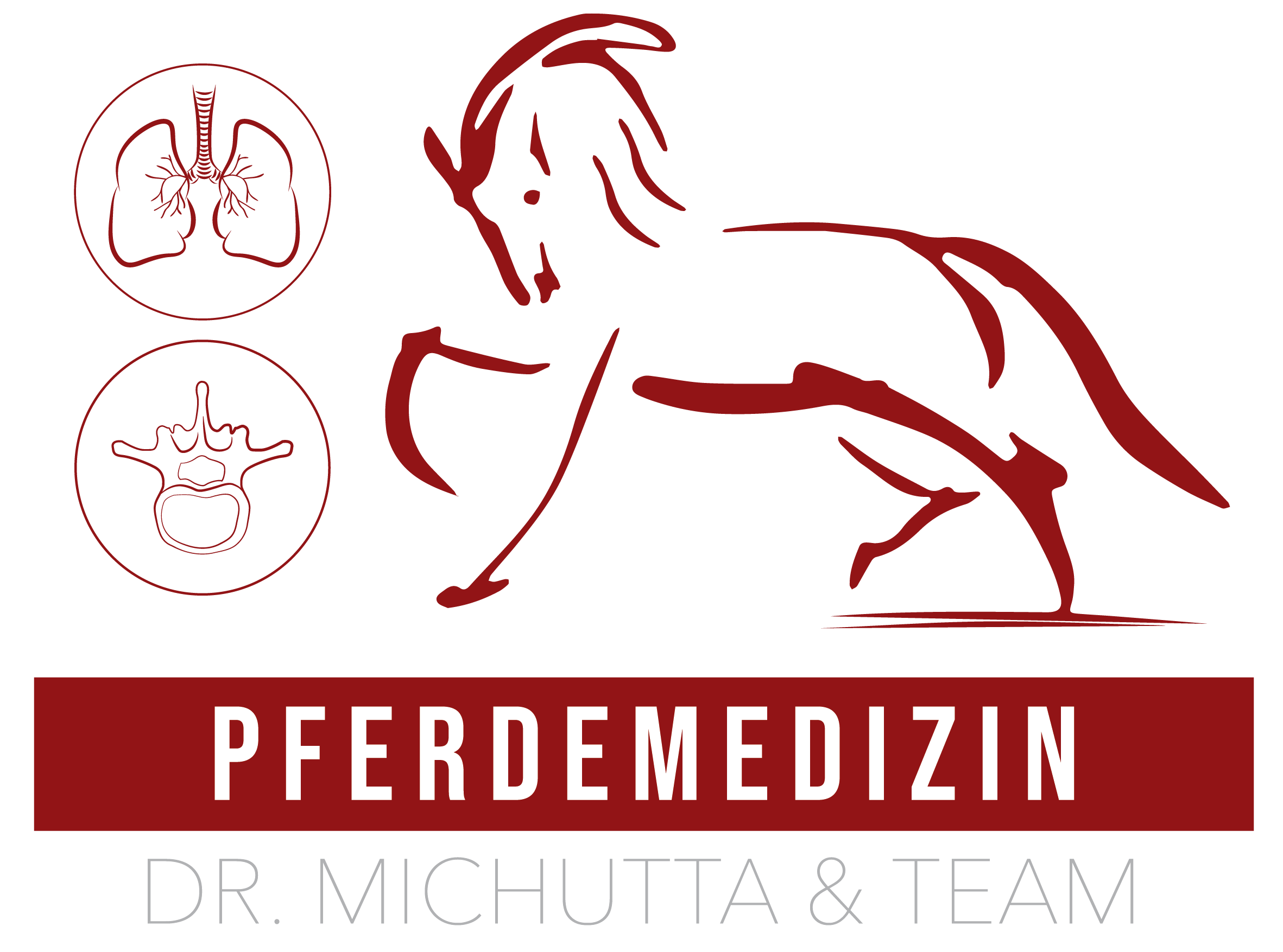 Pferdemedizin Dr. Michutta & Team